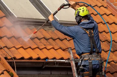 Démoussage et hydrofuge de toiture à Richeville